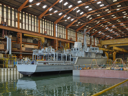 Minesweeper Leaves for Lithuania