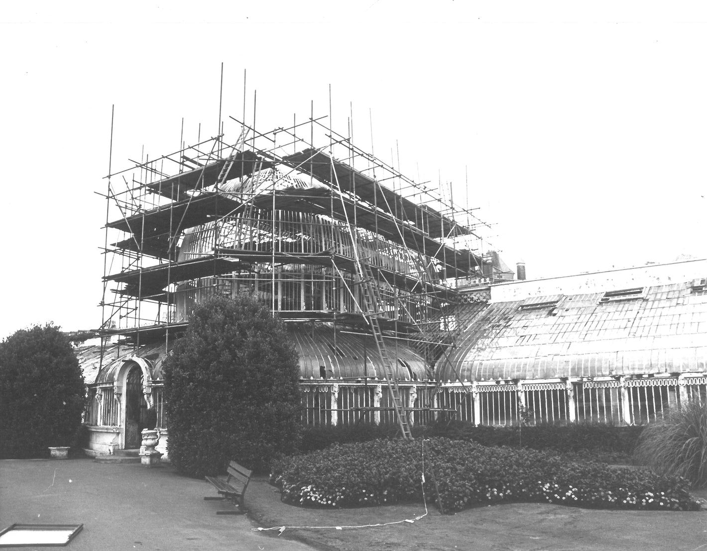 Reapirs are carried out to the main palm house in Belfast's botanic gardens